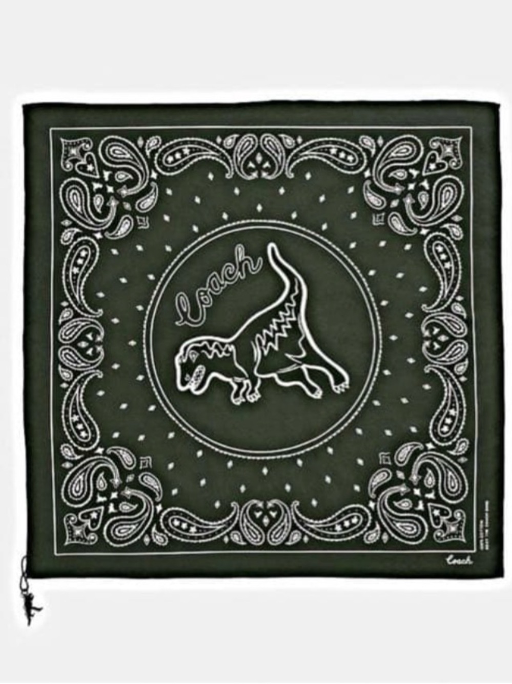 Coach Rexy Play Bandana NIP